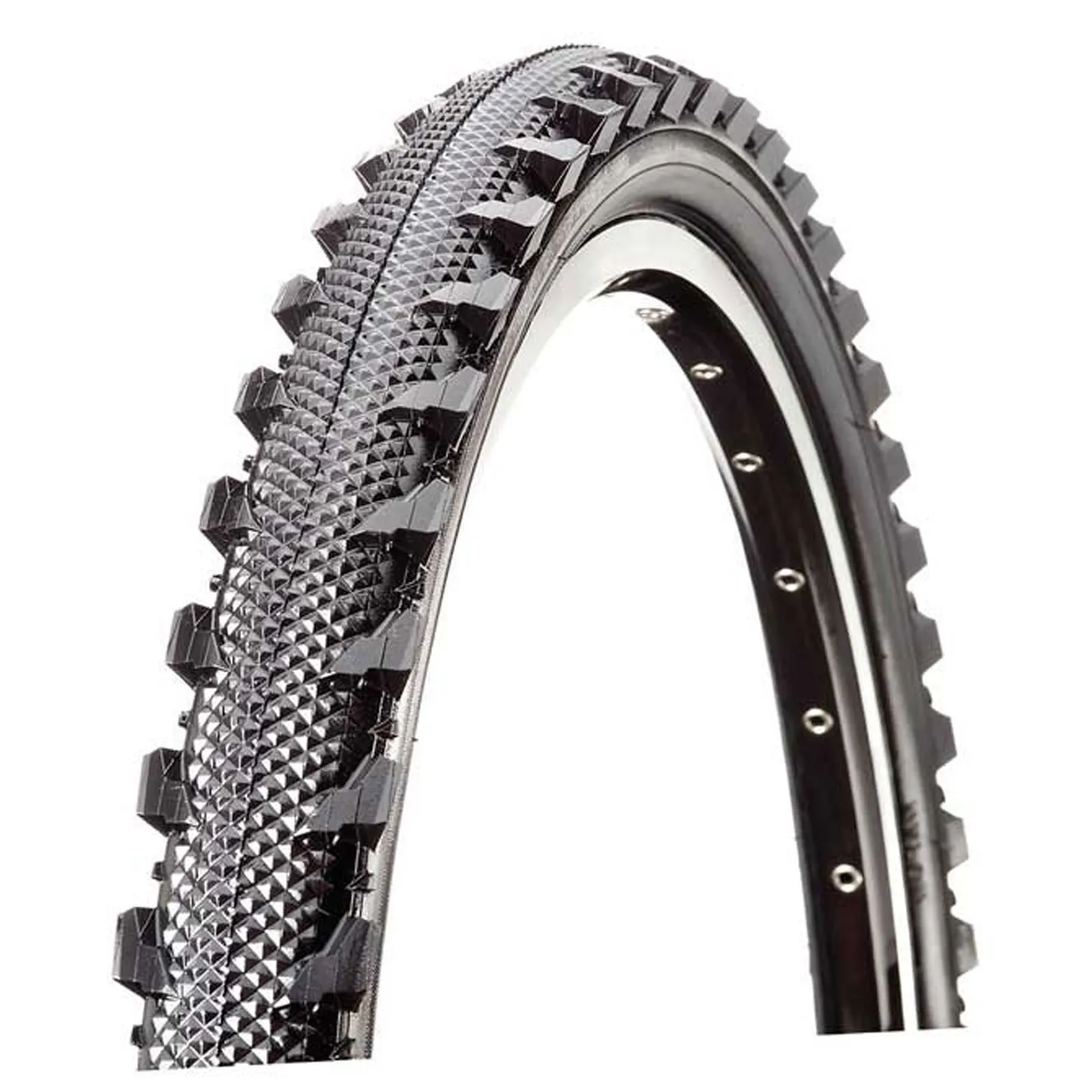 Raleigh T1303 26 x 1.95 Low Rolling Resistance Bicycle Tyre for City & Trail Riding