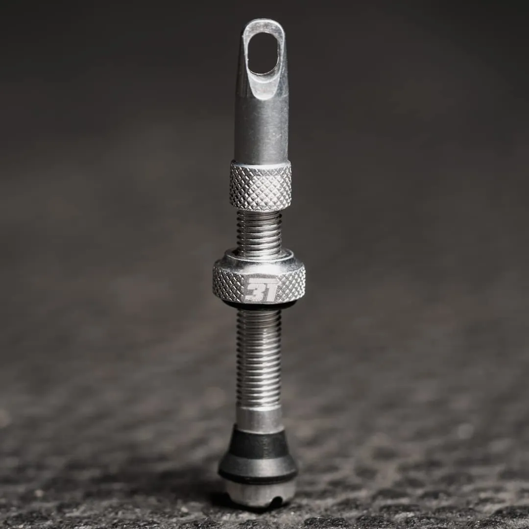 Tubeless Valves 42mm - Premium MTB Tubeless Valves with Tool Cap & Tire Insert Compatible (Silver)